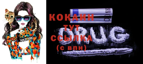 ешки Вязьма