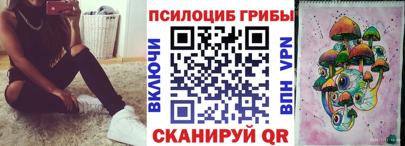 Псилоцибиновые грибы Cubensis  Минеральные Воды 