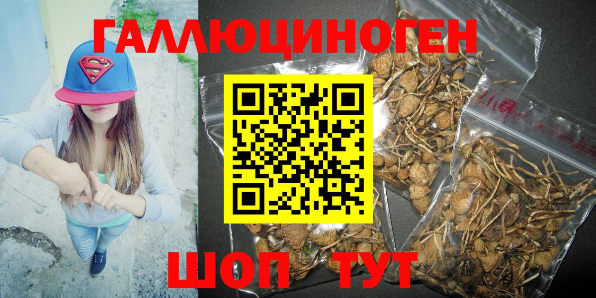 Псилоцибиновые грибы MAGIC MUSHROOMS Минеральные Воды