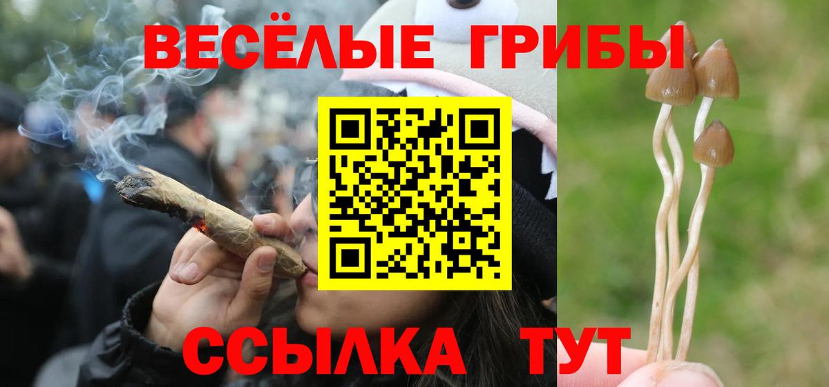 Минеральные Воды  Псилоцибиновые грибы Cubensis  Вход с VPN 